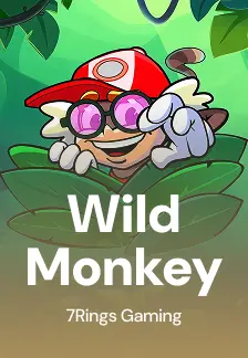 Wild Monkey