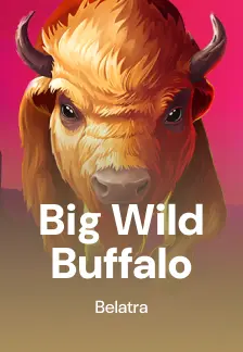 Big Wild Buffalo