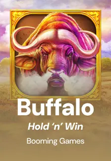 Buffalo Hold and Win