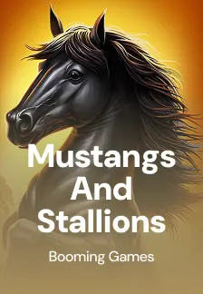 Mustangs and Stallions