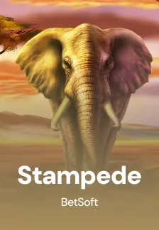 Stampede