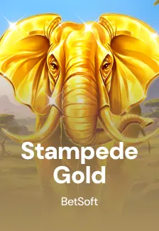 Stampede Gold