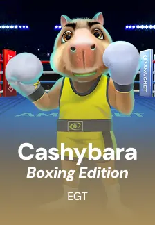 Cashybara Boxing Edition