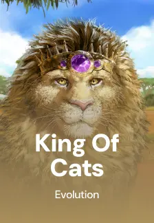 King of Cats
