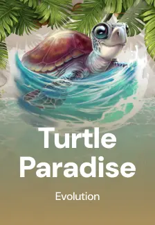 Turtle Paradise