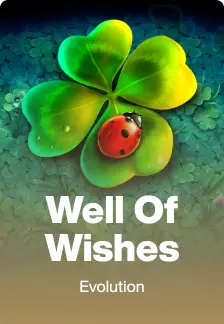 Well Of Wishes