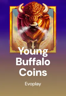 Young Buffalo Coins