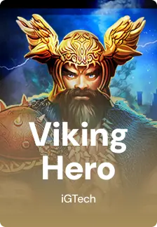 Viking Hero