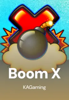 Boom X