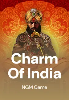 Charm Of India
