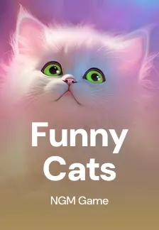 Funny Cats