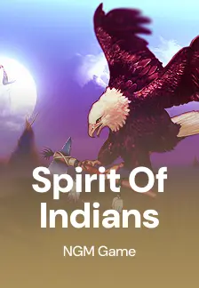 Spirit Of Indians
