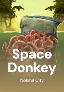 Space Donkey