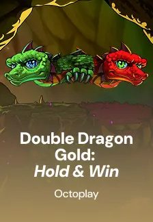 Double Dragon Gold: Hold & Win