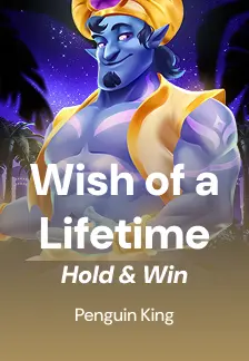 Wish of a Lifetime: Hold & Win