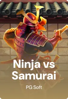 Ninja vs Samurai