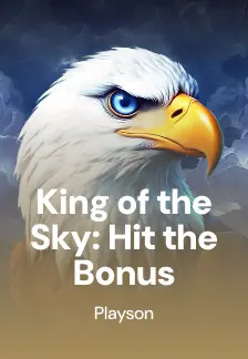 King of the Sky: Hit the Bonus
