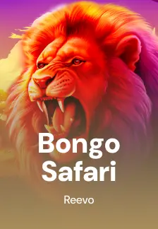 Bongo Safari