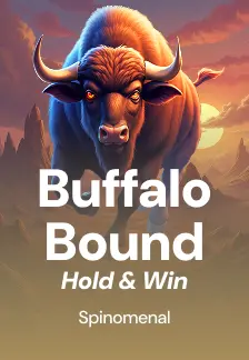 Buffalo Bound - Hold & Win