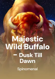 Majestic Wild Buffalo - Dusk Till Dawn