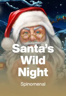 Santa’s Wild Night