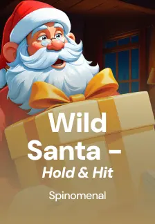 Wild Santa - Hold & Hit