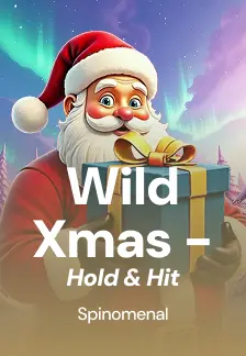 Wild Xmas - Hold & Hit