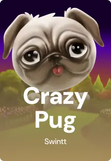 Crazy Pug