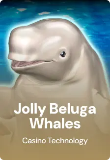 Jolly Beluga Whales
