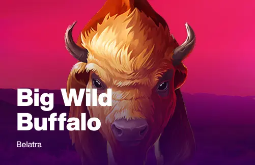 Big Wild Buffalo
