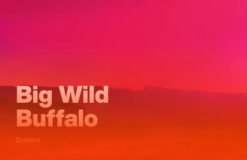 Big Wild Buffalo
