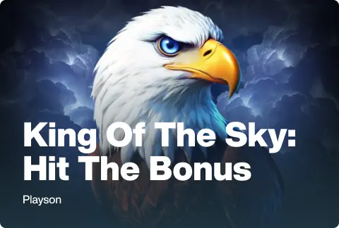 King of the Sky: Hit the Bonus