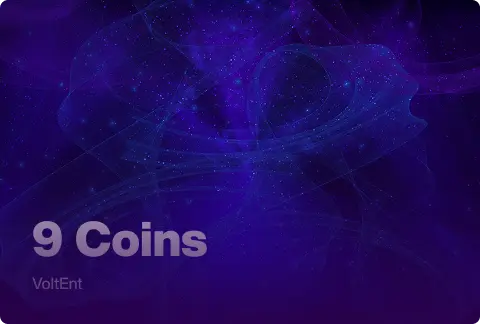 9 Coins
