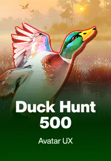 Duck Hunt 500