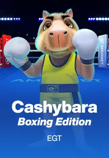 Cashybara Boxing Edition