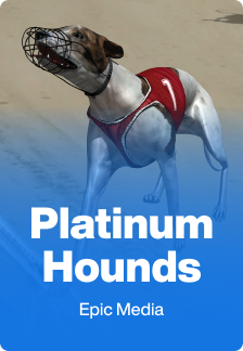 Platinum Hounds