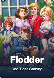 Flodder