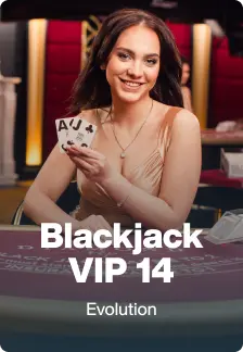 Blackjack VIP 14