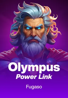 Olympus Power Link