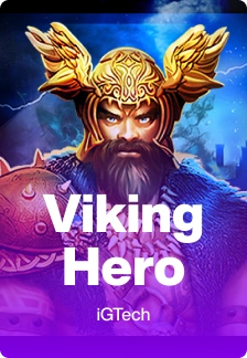 Viking Hero