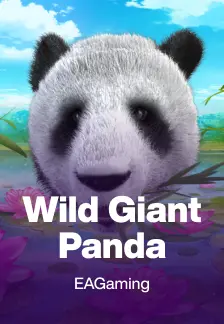 Wild Giant Panda