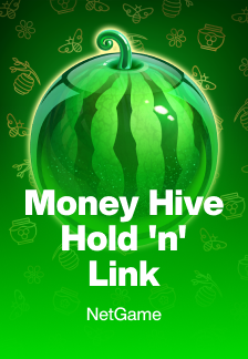 Money Hive Hold n Link