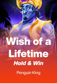 Wish of a Lifetime: Hold & Win