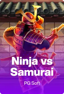 Ninja vs Samurai