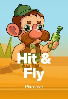 Hit & Fly