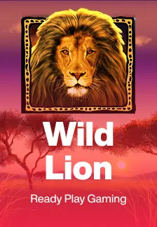 Wild Lion