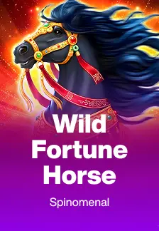 Wild Fortune Horse