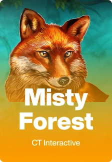 Misty Forest