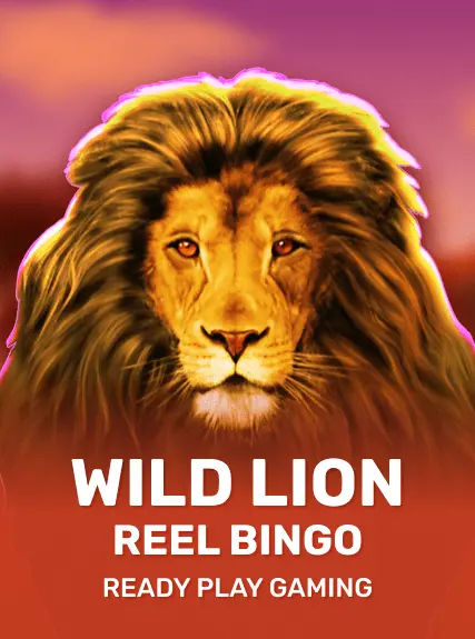 Wild Lion Reel Bingo game tile