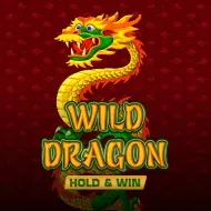 Wild Dragon Hold & Win game tile